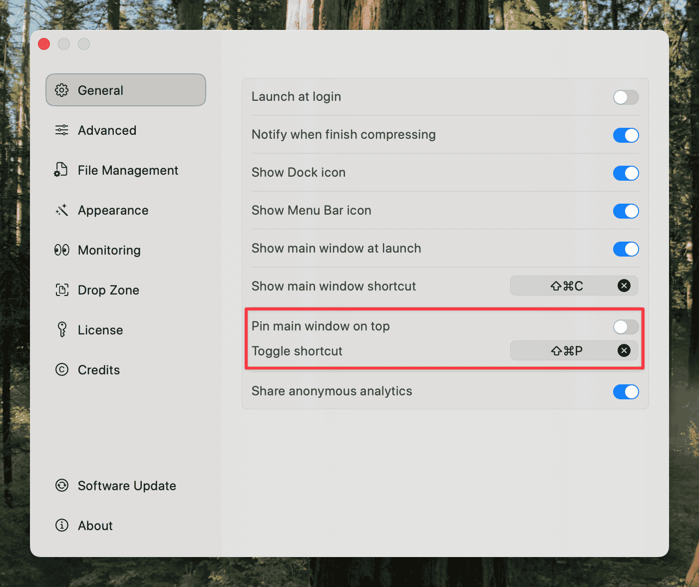 pin window on top settings