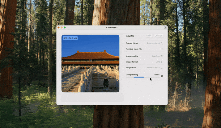 Compresto 1.17: Our Latest and Greatest Update