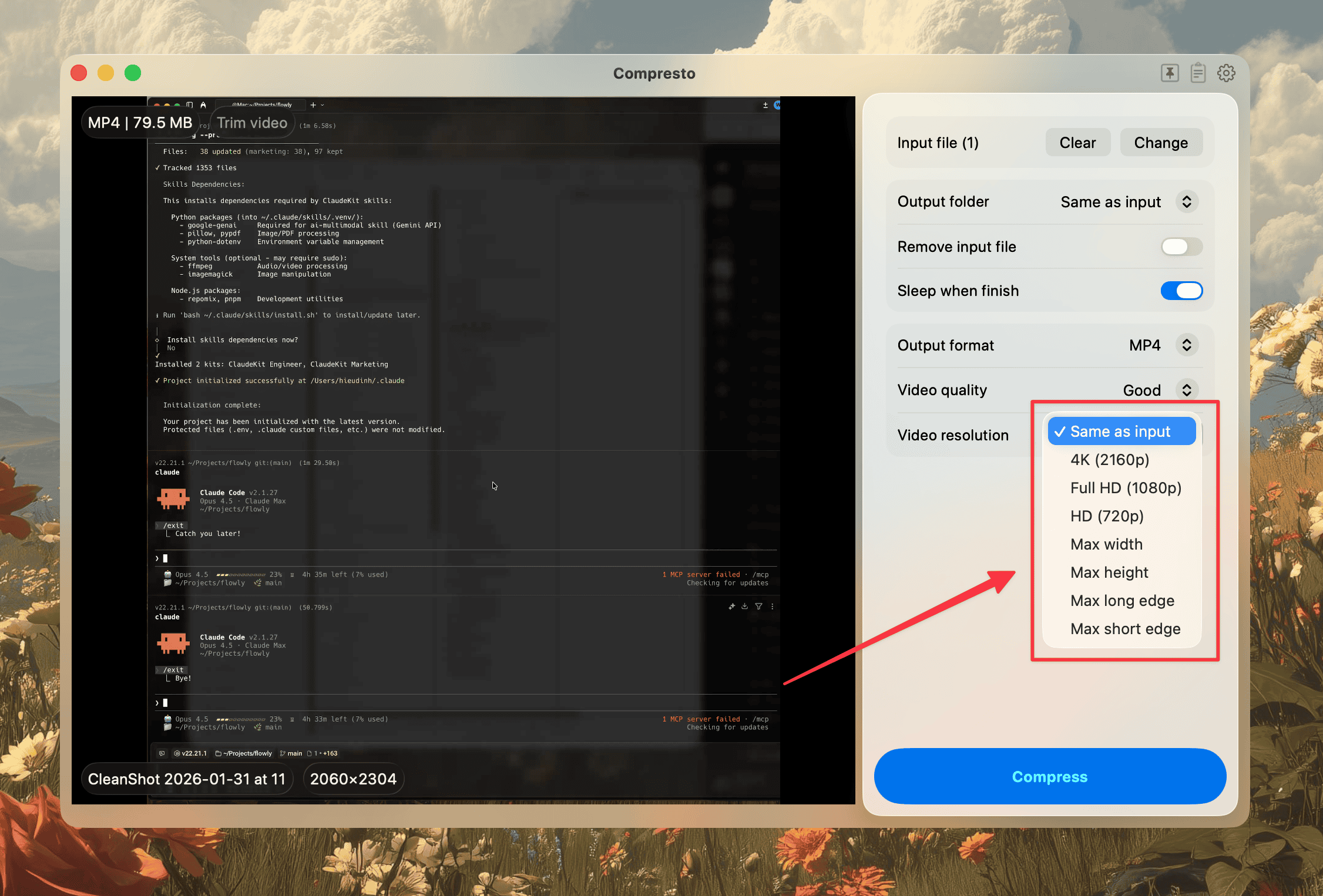 Flexible video size options