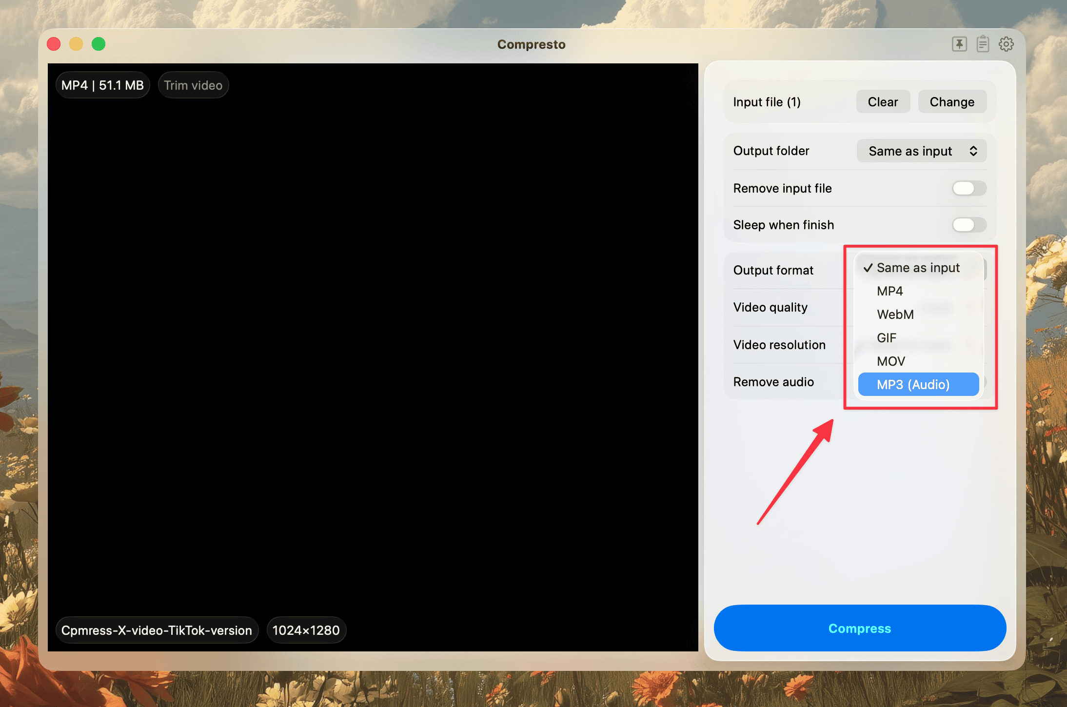 MP3 audio extraction